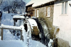 Read more about the article Ein frohes Weihnachtsfest